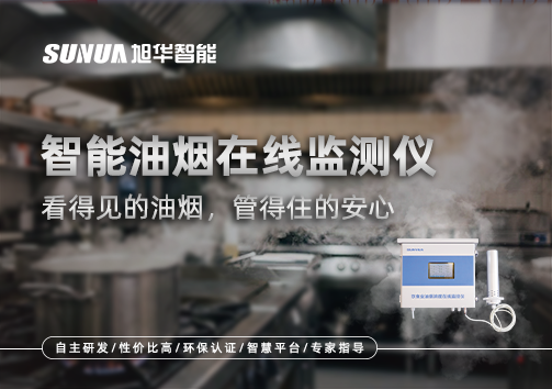 智能油烟在线监测仪：看得见的油烟，管得住的安心